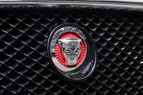 車標(biāo)上的動(dòng)物都是啥來(lái)頭？看完又能出去裝X了