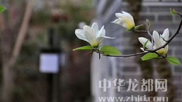 淮陽(yáng)蓮舍，多了一份味道